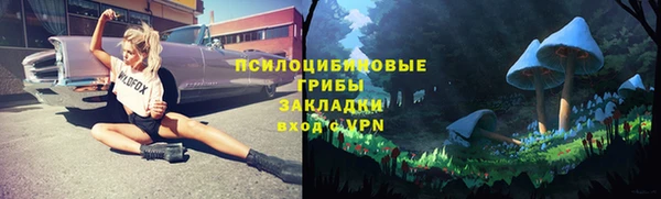 прущие грибы Богородицк