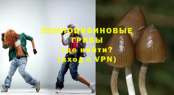 дмт Богородск