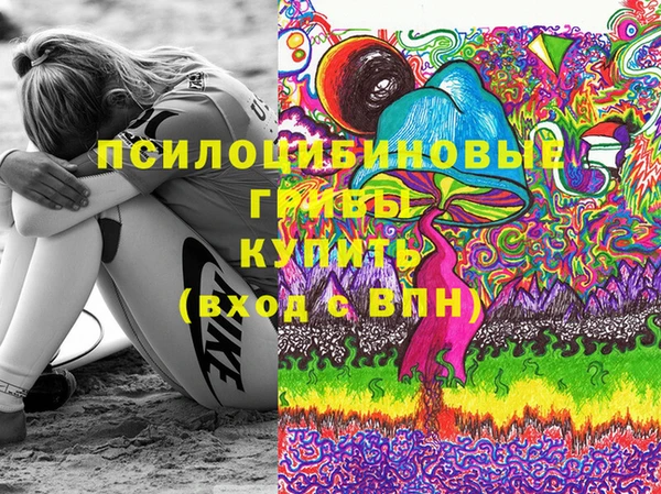 дмт Богородск