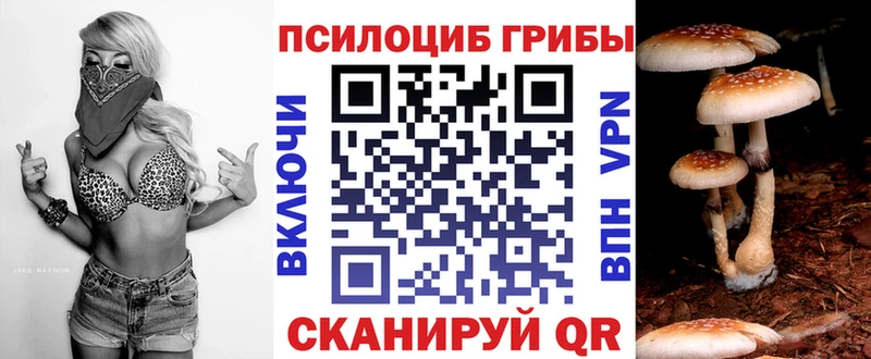 Галлюциногенные грибы MAGIC MUSHROOMS  магазин    Кропоткин 